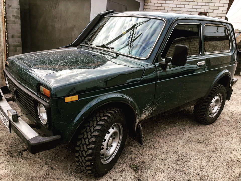 Safari forward 540 3
