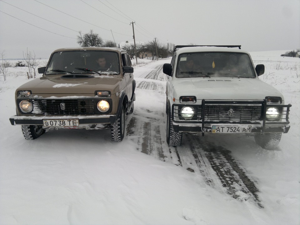 Покотушки по снігу... 3
