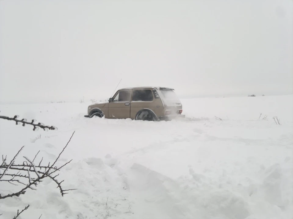 Покотушки по снігу...