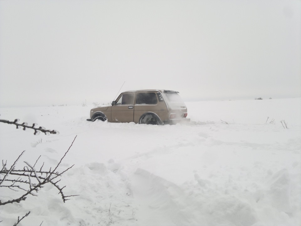 Покотушки по снігу... 1