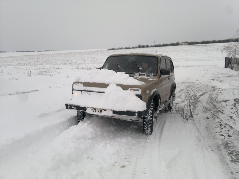 Покотушки по снігу... 4