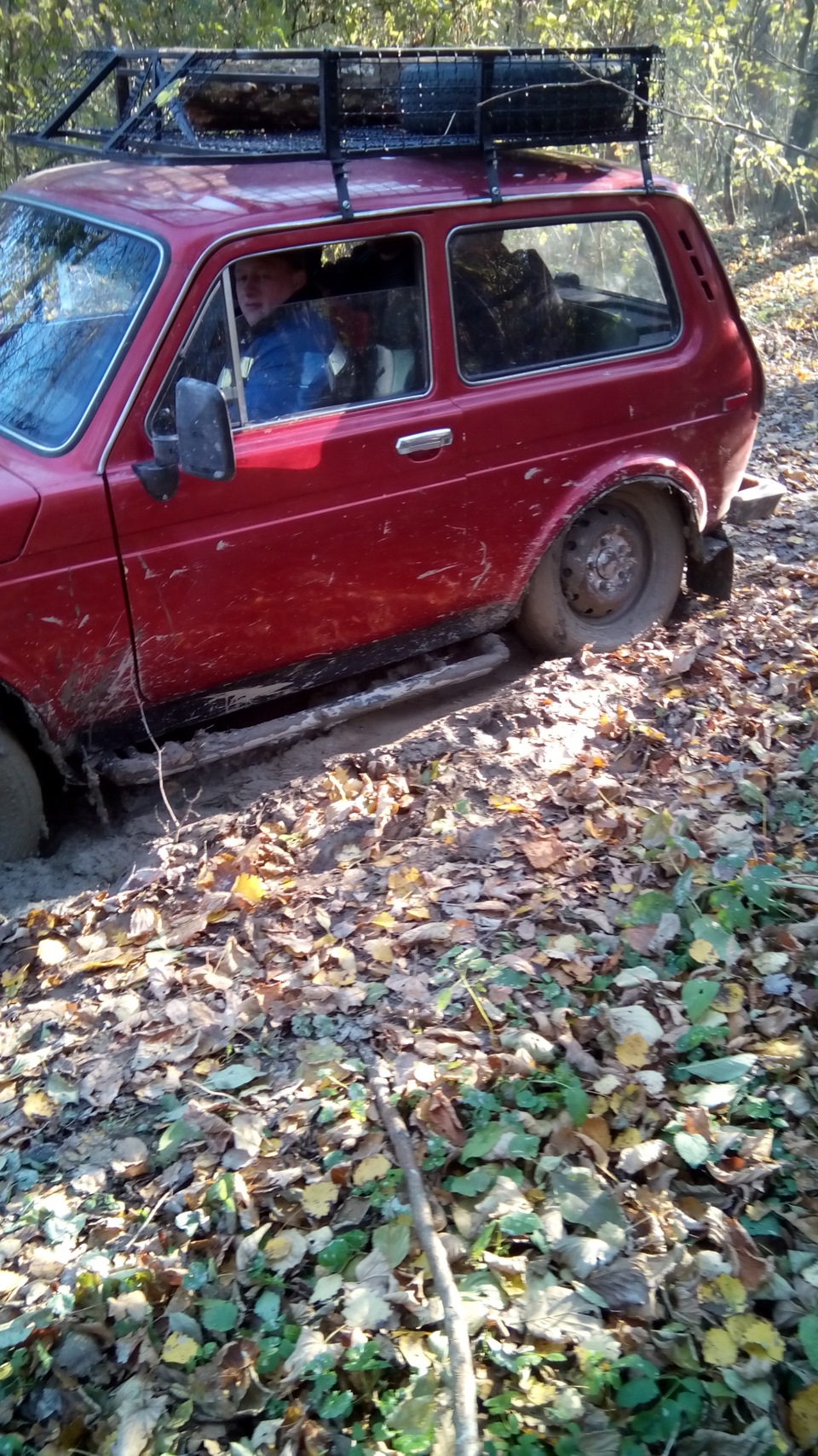 Болотна лихоманка... 1