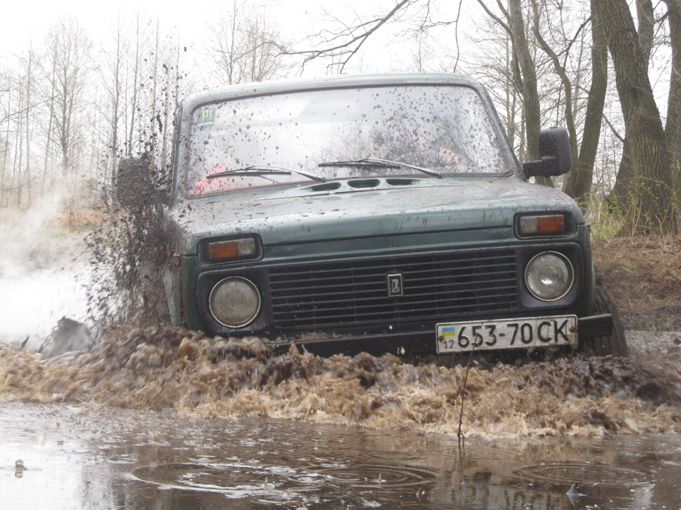 Ботанік-2014 5