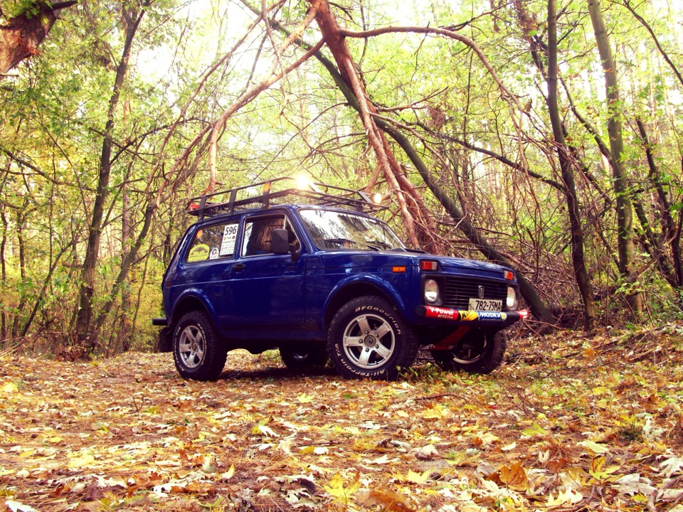 Осінь, ліс ... 2