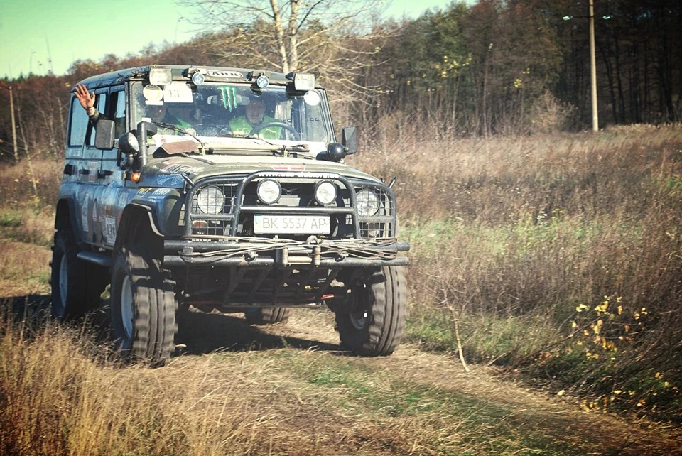 Заміс 2013