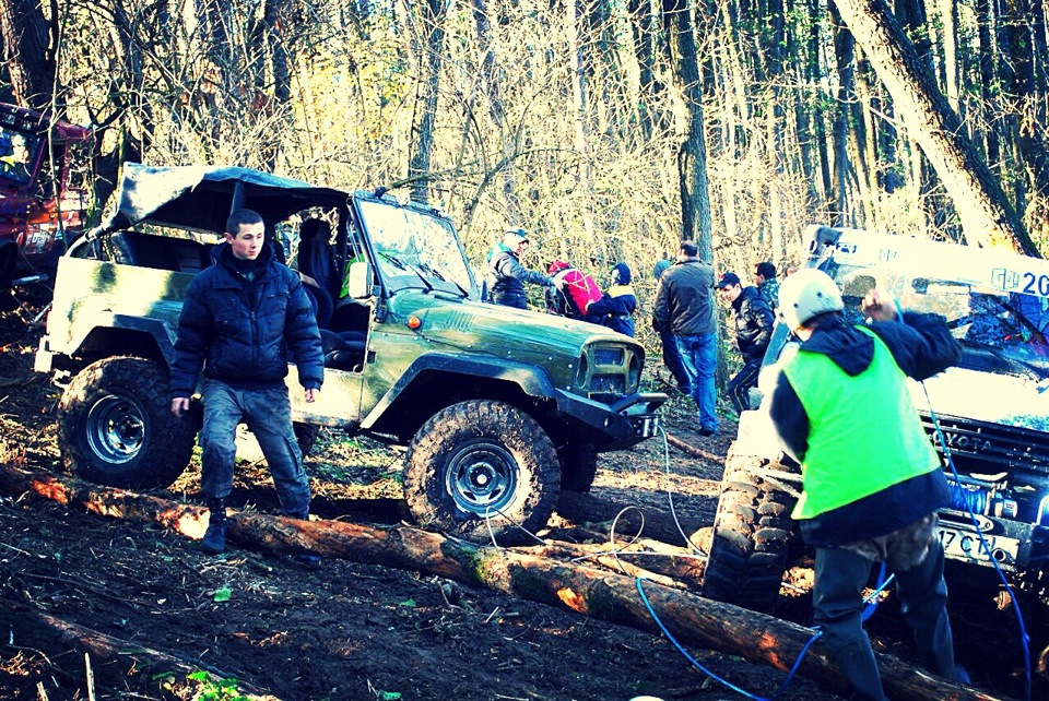 Заміс 2013 3
