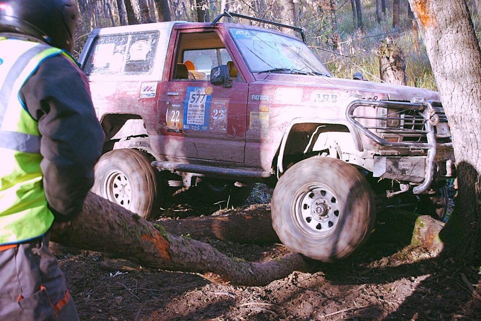 Заміс 2013 2