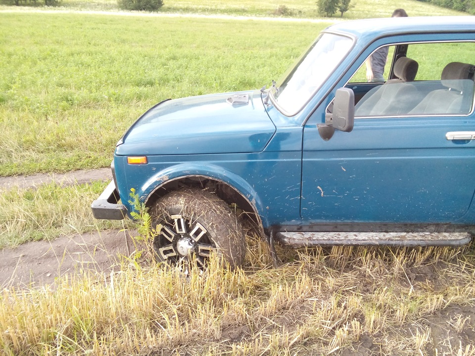 Покотушка після сильного дощу. 3