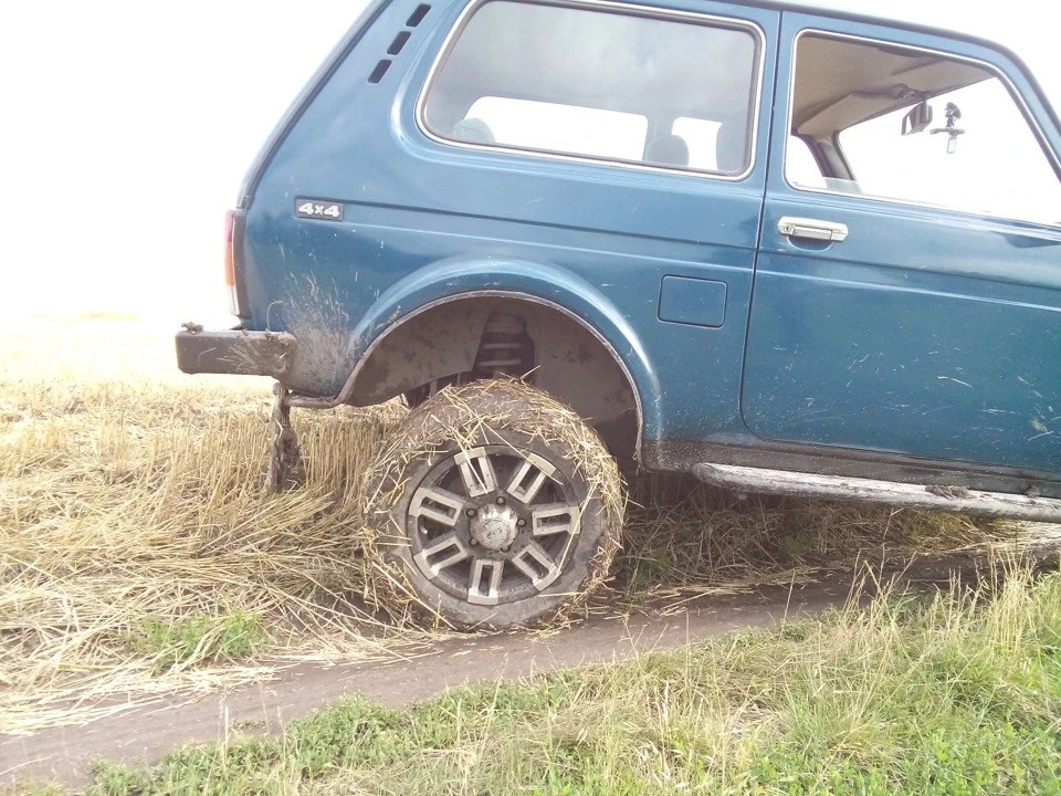 Покотушка після сильного дощу.