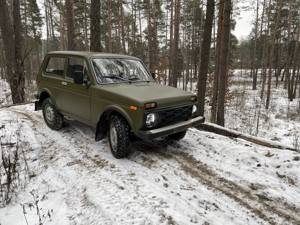 Перша лайтова покотушки в лісі 4