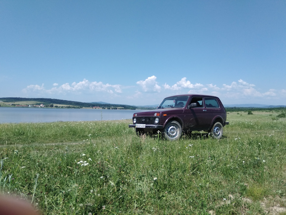 На нівасику 3