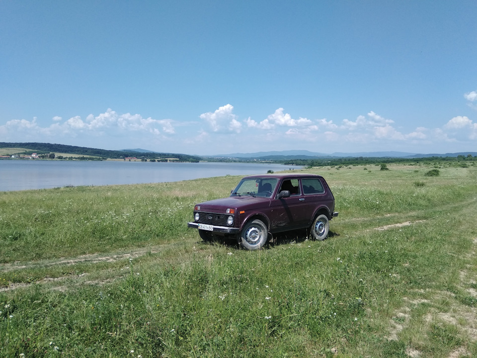 На нівасику 2