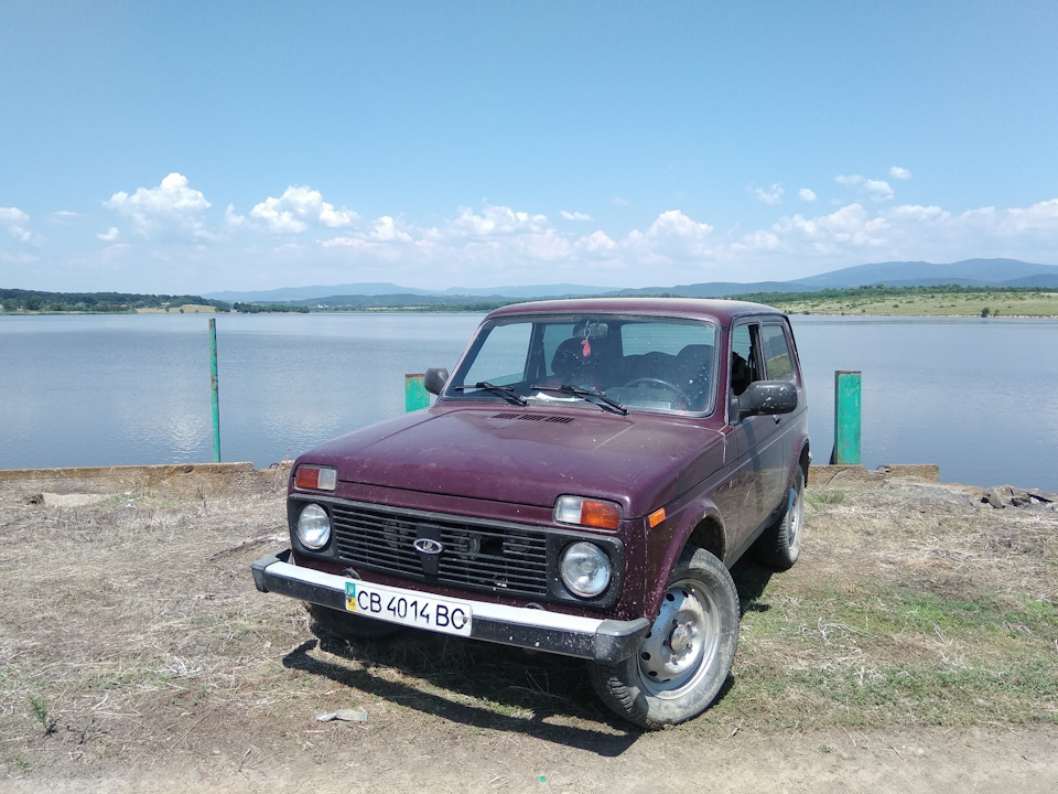 На нівасику 1