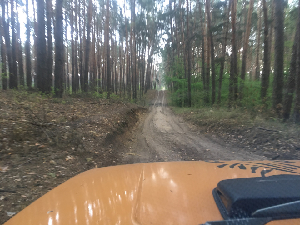 Сімейна вилазка 1
