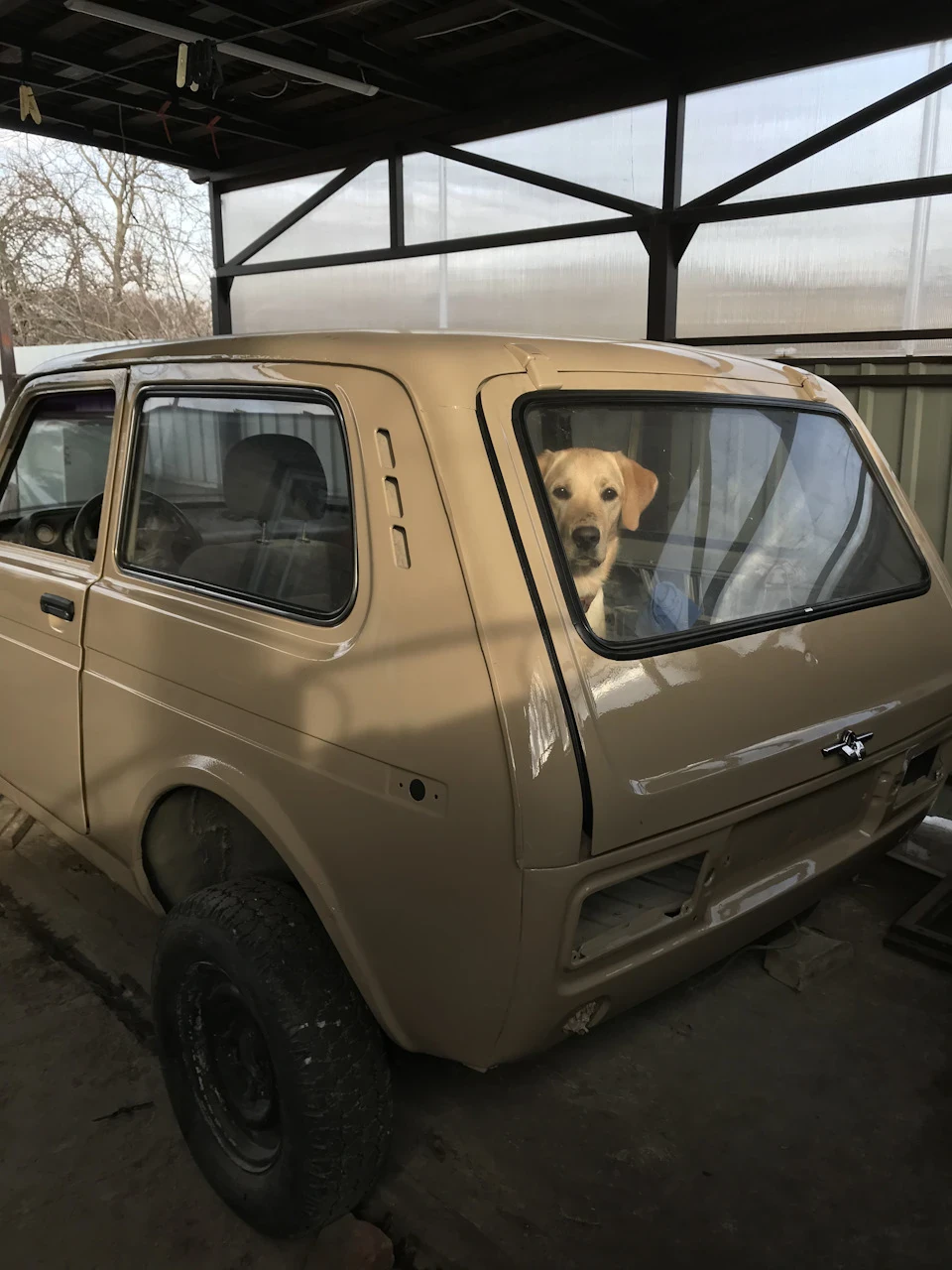 Доводжу до ладу зовнішню