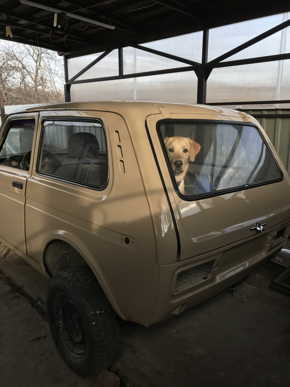 Доводжу до ладу зовнішню 1
