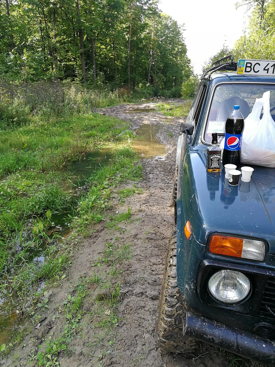 Перші враження