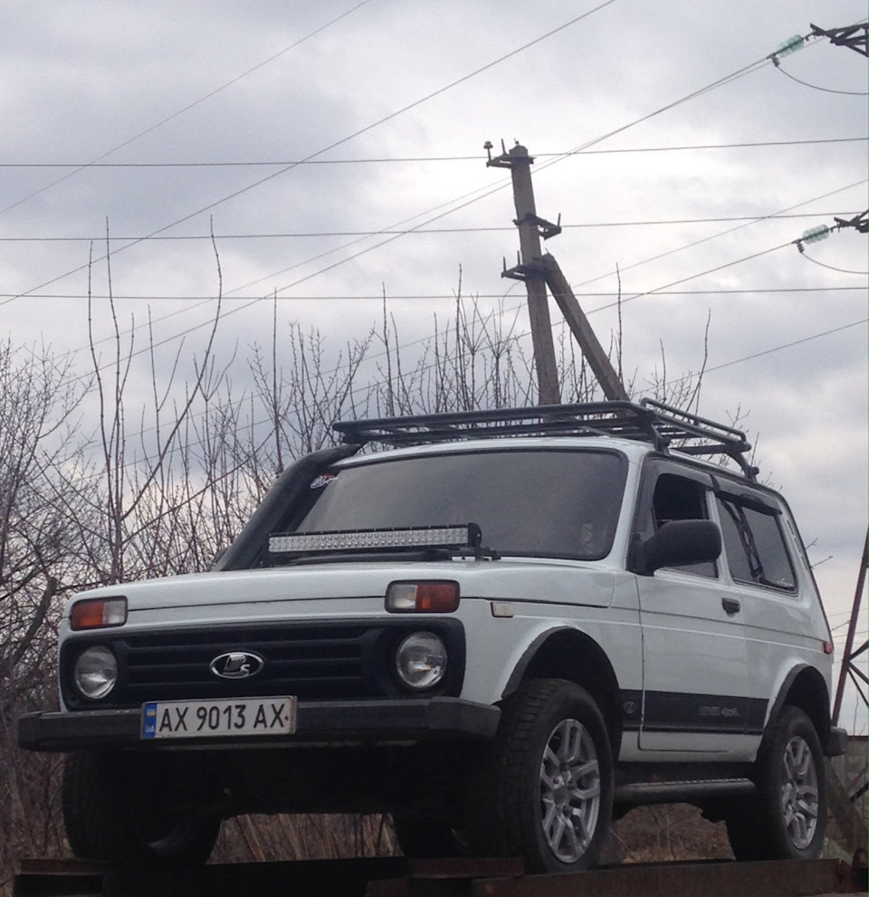 Нивка 1