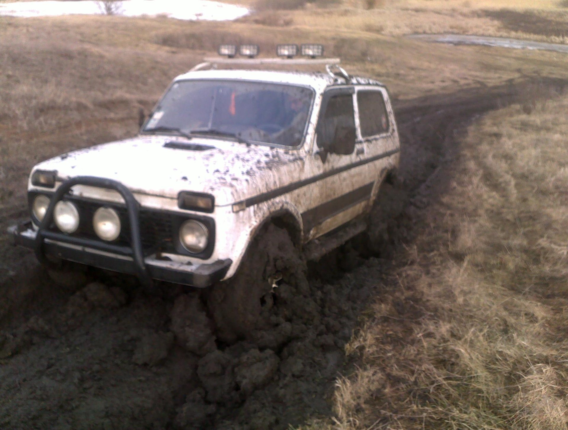 І ось зійшов сніг... 3