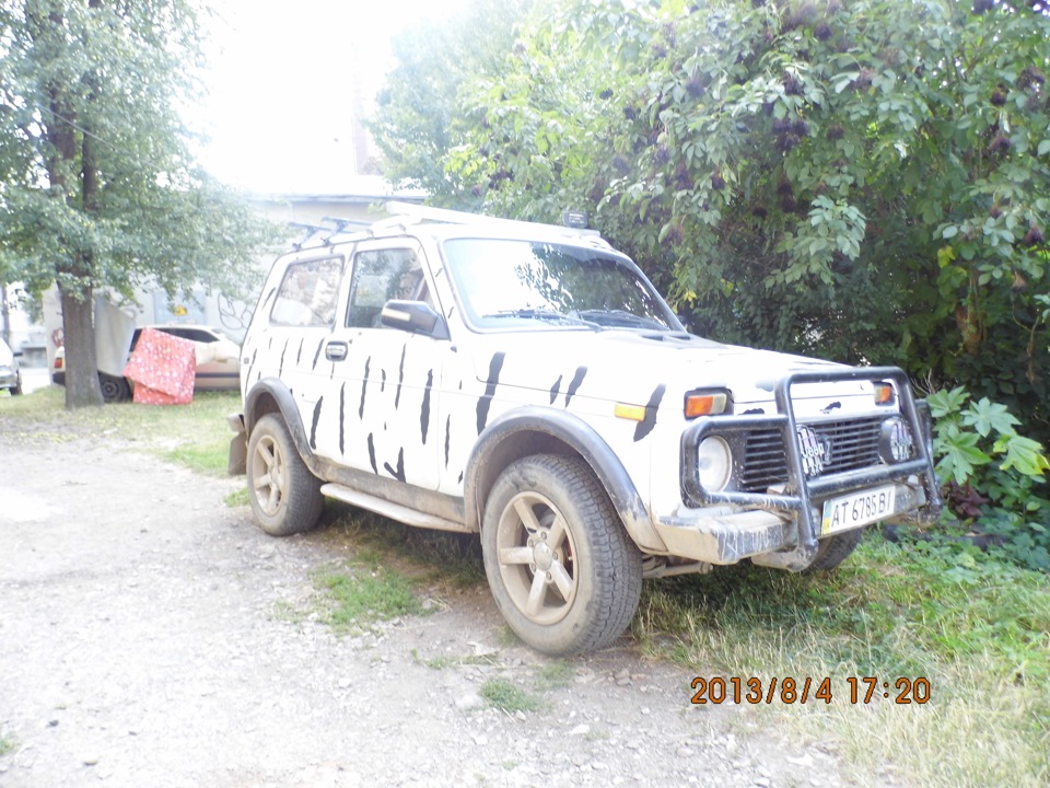 Спочатку зебри були поширені по всій Африці... 3