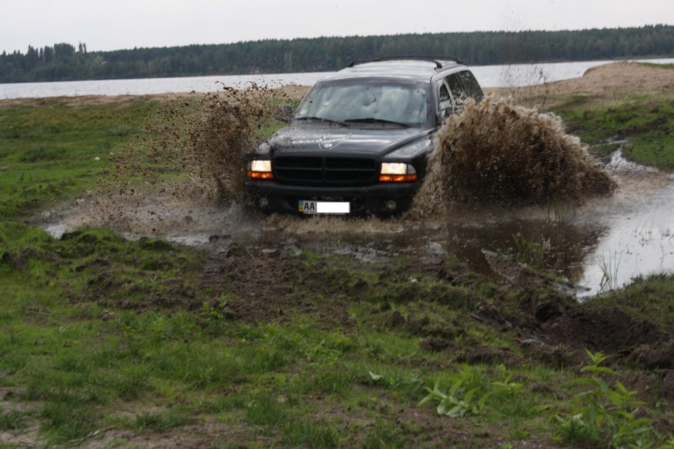 За грибами) 5
