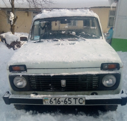 Історія про те, як я став власником Нивки. 2