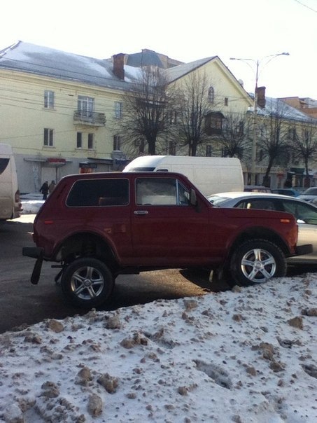 нивовід типовий! :-) 1