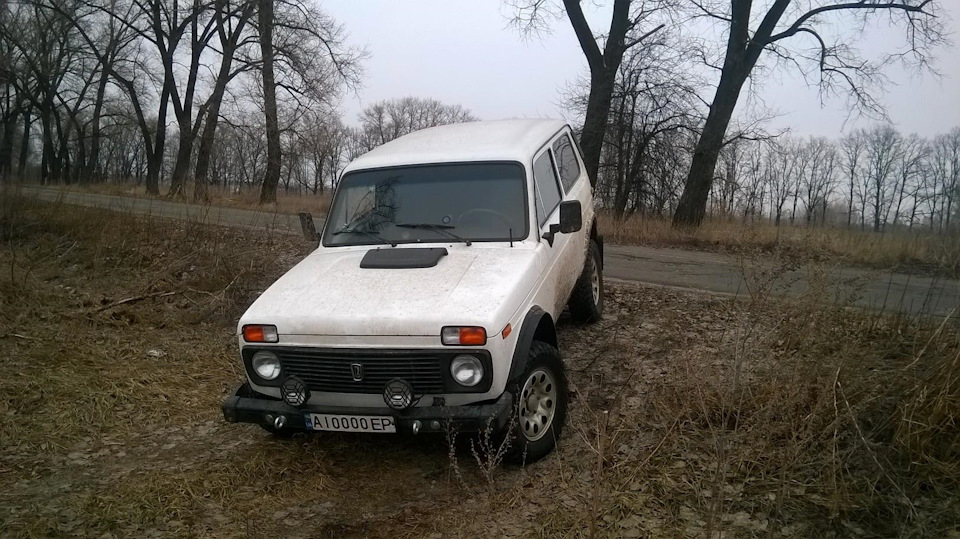 Обновки стеля, козирки та підлокітники 1
