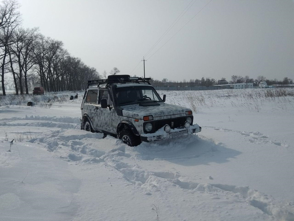 З'їздив погодувати лисичку. 2