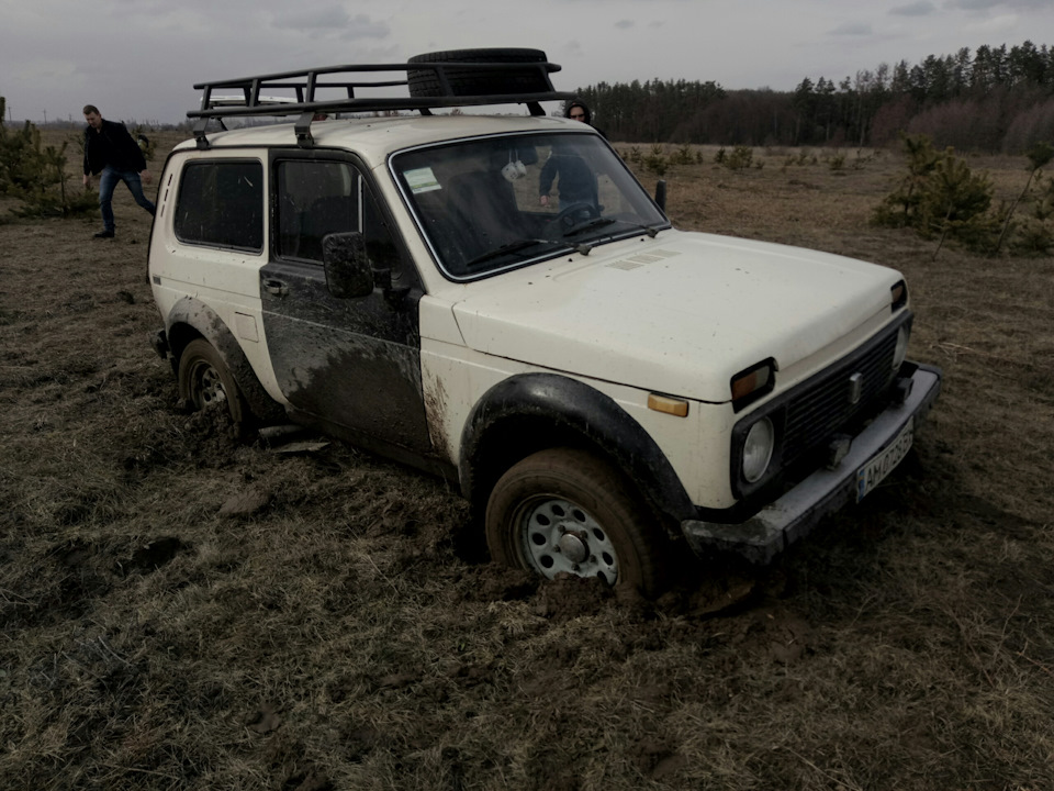 Незаплановані покотушки! 2
