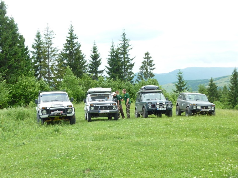Ниви в Карпатах 1