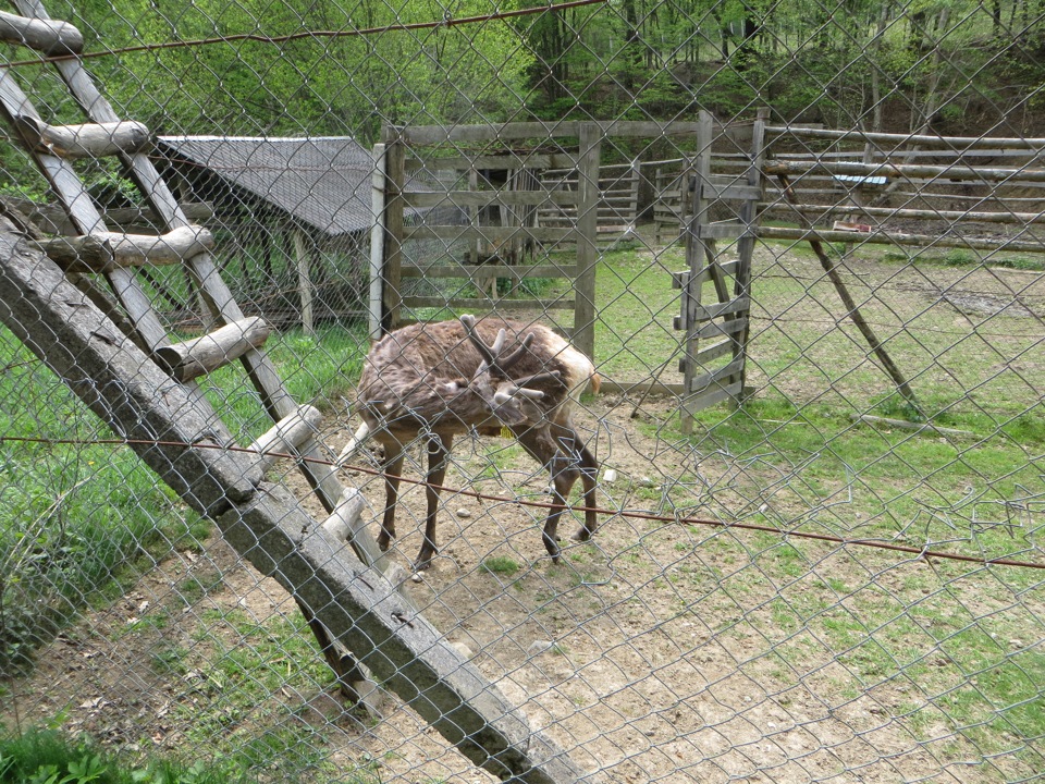 Ближче до природи 1