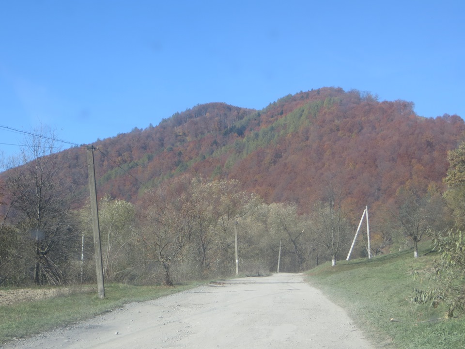 Осінні дні 1
