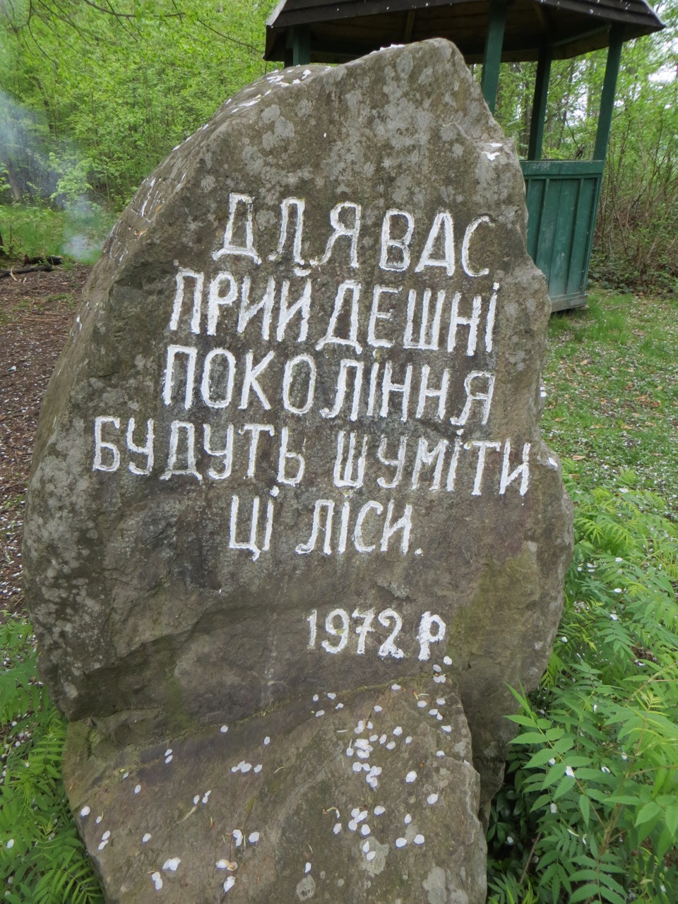 Перший виїзд на Ниві до лісу 4