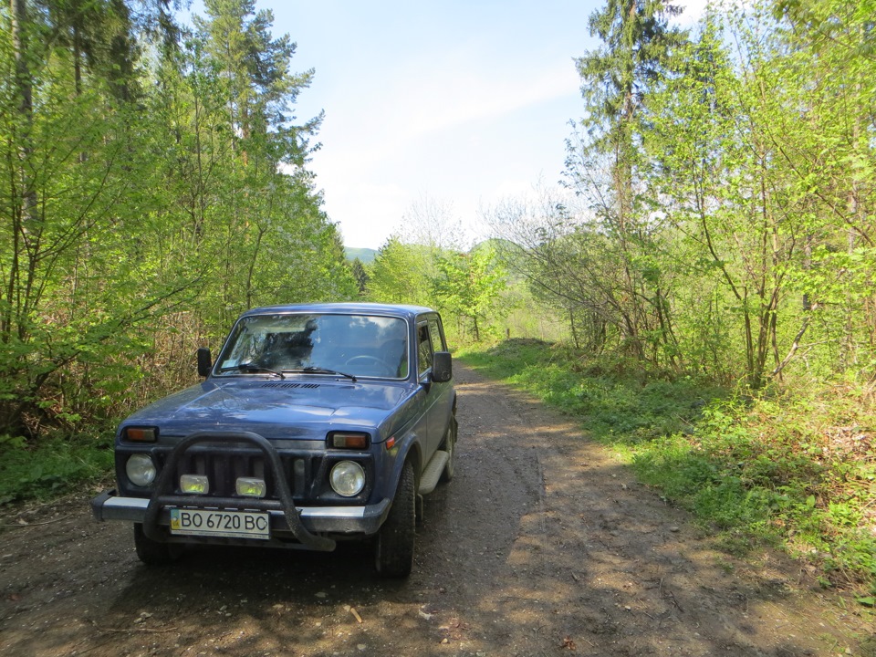 Перший виїзд на Ниві до лісу 2