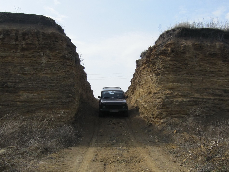 Покотушки 1