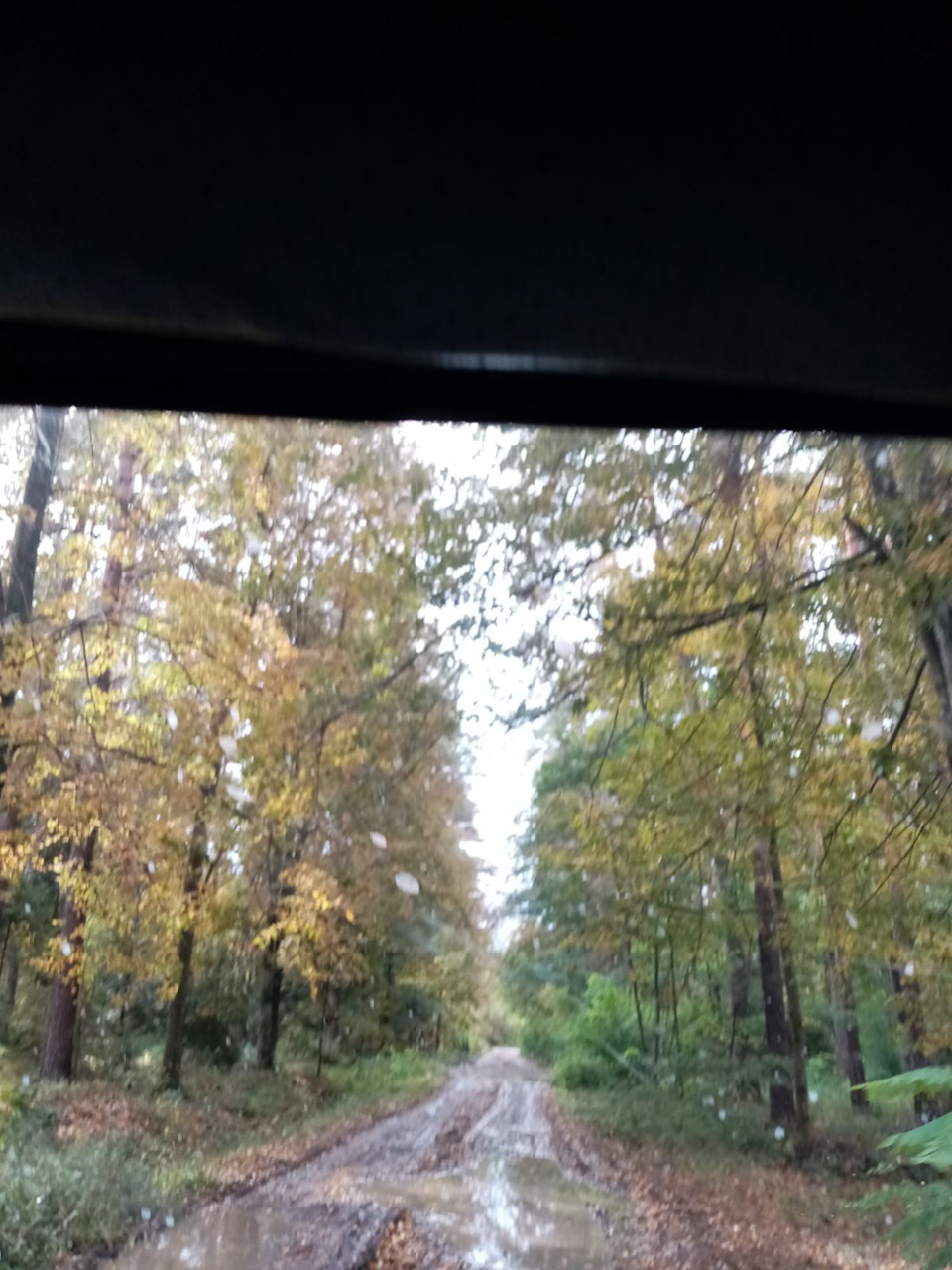 Покотушки 3