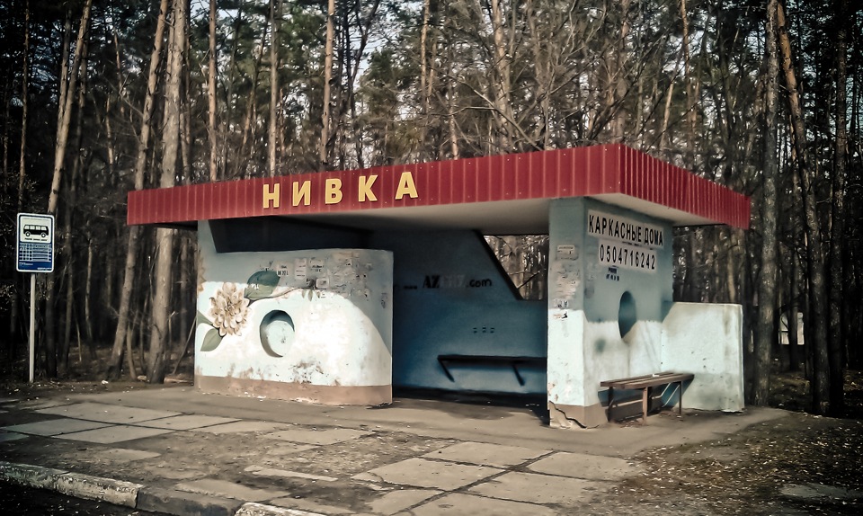 Купив дах! 1