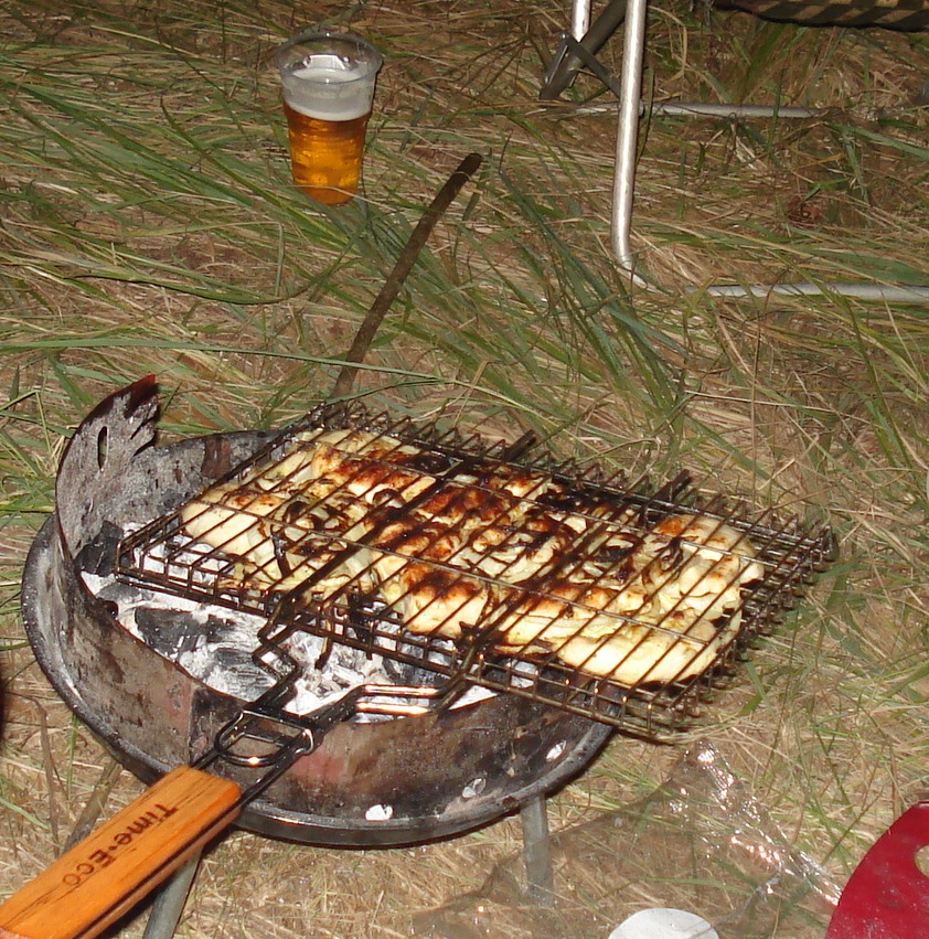 Offroad Free Fest 2010 Ч.2 4