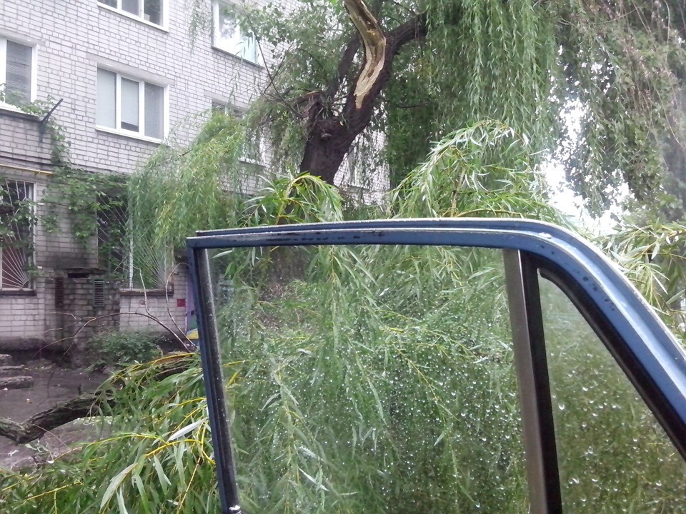 Знайшов у комп'ютері. 1