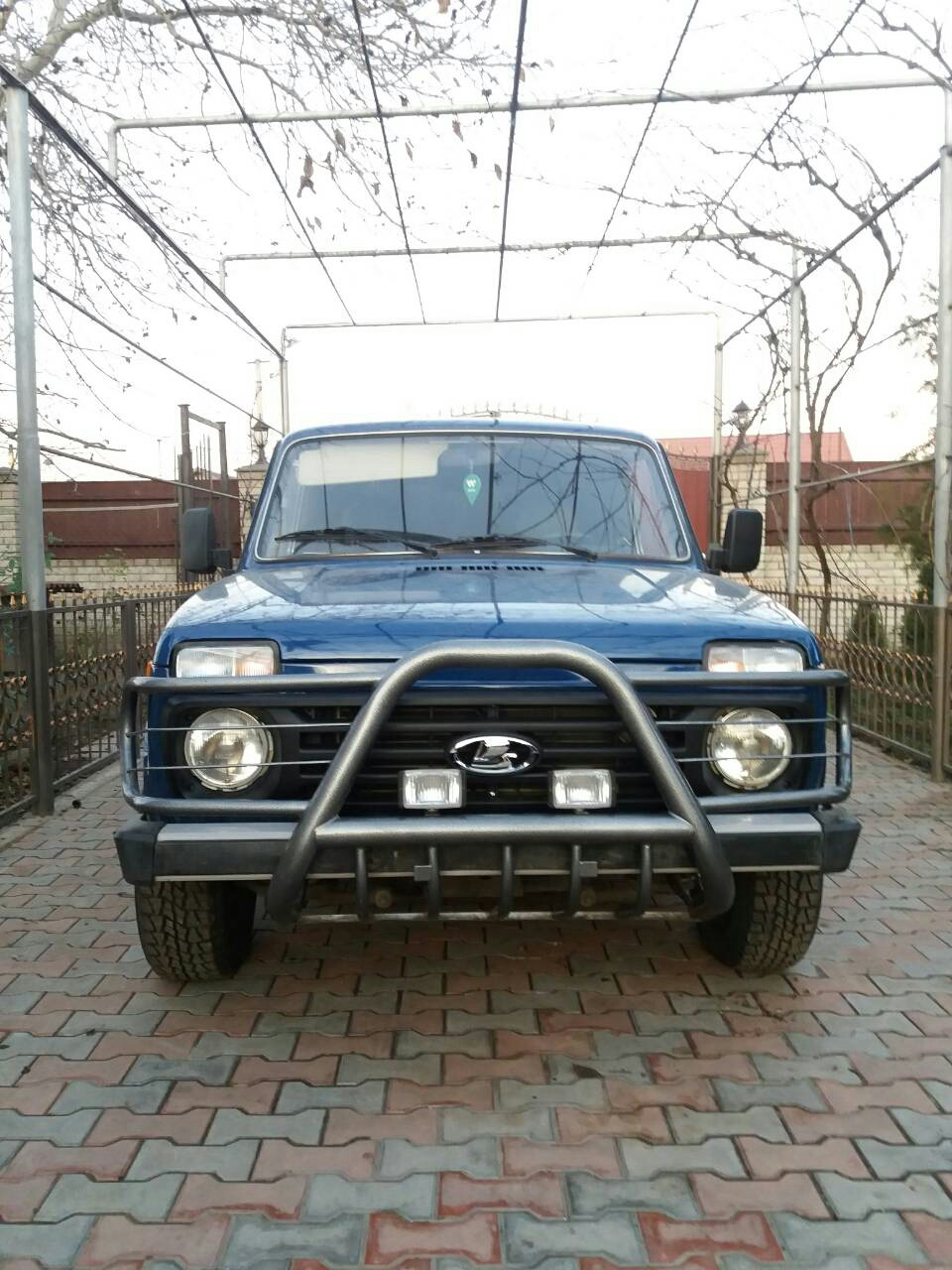 Кенгурятник поставив 4