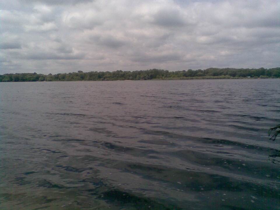 Як риба у воді 5