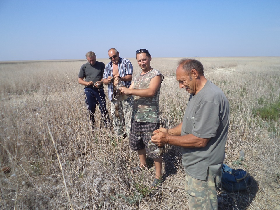 Відкриття полювання на качку Крим 2