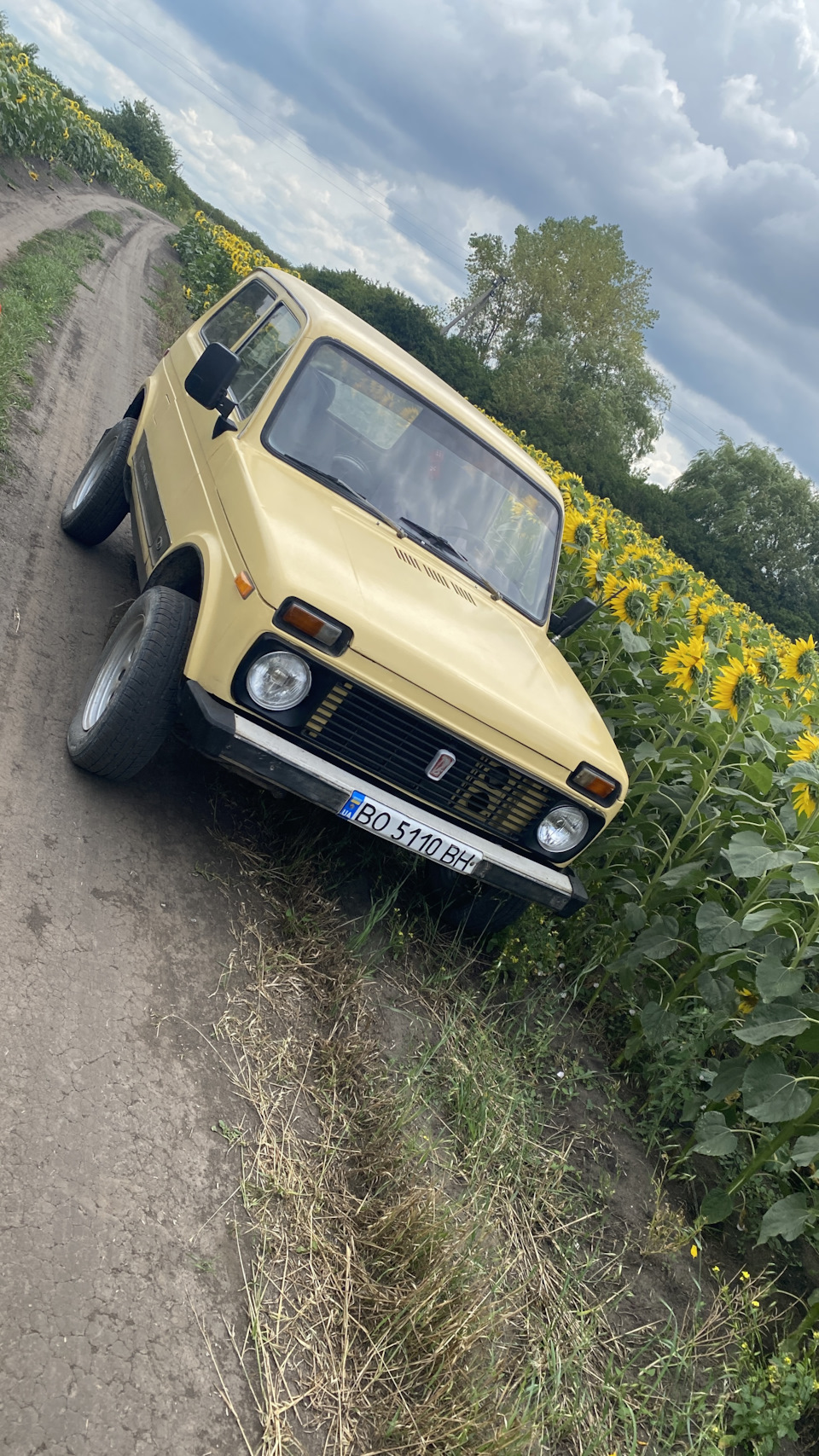Машинку продано кінець історії 1