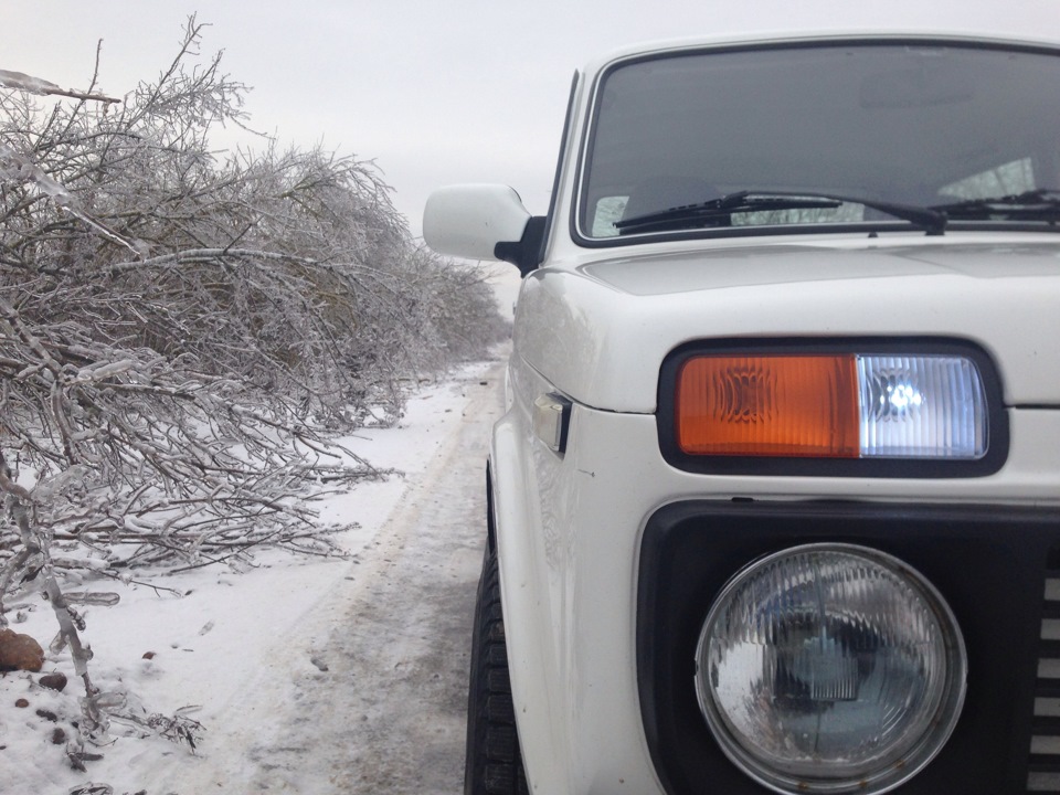 Слизька дорога, зледенілий гай, біла Нива (фото) 5