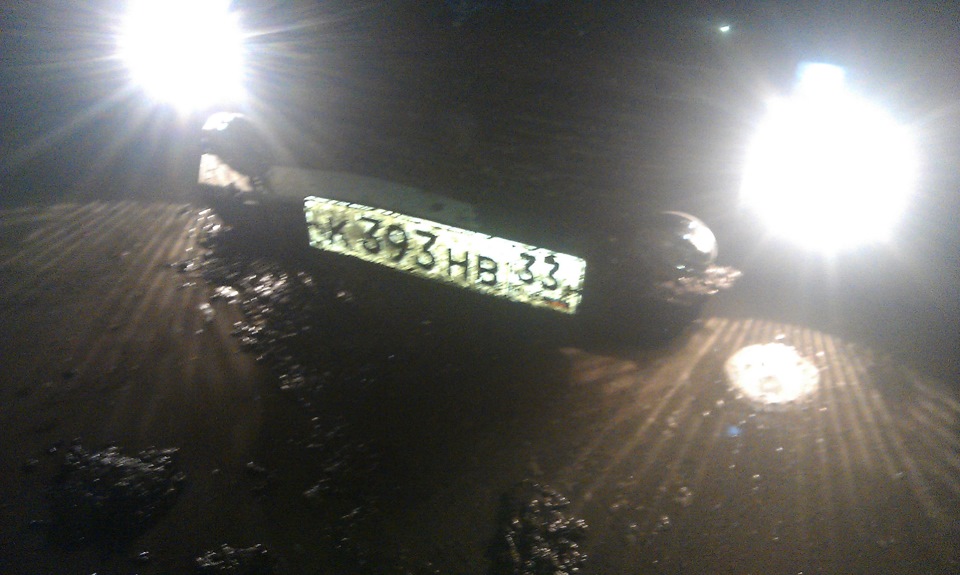 сиджу по самі помідори 1