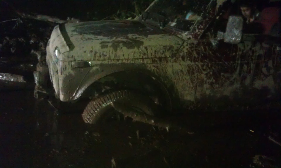 сиджу по самі помідори 4