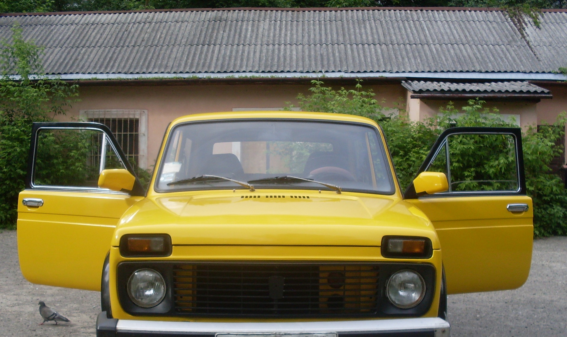 У всій красі! 5