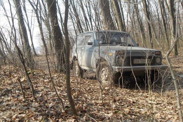Фотосесія в лісі... 2