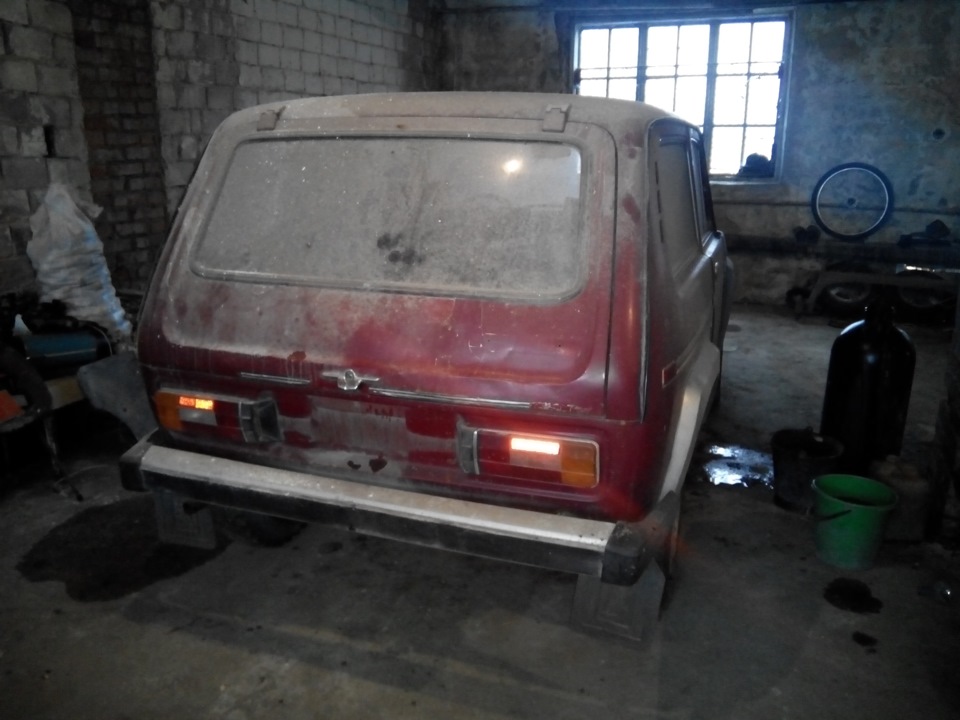 Ось така вона скучала 5 років, чекаючи смерті. 2